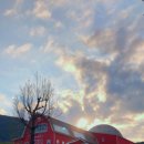 노림목장 이미지