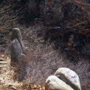 시심마 네이버블로그
