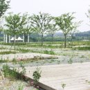 백마강오토캠핑장 이미지