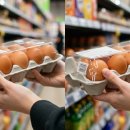 계란 위 '난각번호'를 꼭 확인해야 하는 이유 이미지