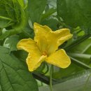 경기둘레길 여주36코스 이미지