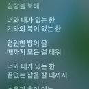 토요일 영희페스티벌 - 일요일 dmz 피스트레인 다녀온 후기