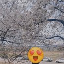 명륜진사갈비대전중촌점 이미지