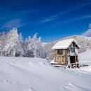 데일리목장 이미지