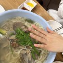 손가네바지락손칼국수 | 분당 미금 손가네 바지락칼국수, 손만두랑 칼국수 2인 내돈내산 솔직후기