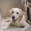 연스파펜션 이미지