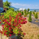 왕지로타리 이미지