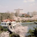 원광대학교 이미지