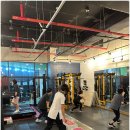 셀럽바디 이미지