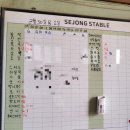 복용승마장 1층 | [승마일지] 세종에서 시설 가장 좋은 승마장_세종스테이블_다녀온 후기(가격, 준비물 등)#내돈내산
