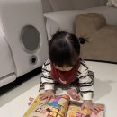 그림책도서관 잇:다 | 유아전집추천 그레이트북스 춤추는포포 3개월 책육아 후기