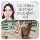 우둠지 | 포천 산정호수 둘레길 걷기 근처 알파카 카페 우둠지 후기