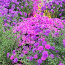 RENEW-태초의  | 이사야40장-내 백성을 위로하라