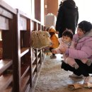 웃음꽃목장 이미지