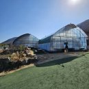 안기농장 | [하하농장] 대구 팔공산 동물 먹이&amp;우유 주기, 아기토끼 안기 체험