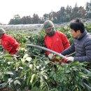 남원읍-78 이미지