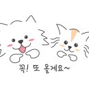 탕정면로8번길+탕정면로22번길 이미지