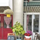 노노씨스터즈 | 도화 앨리웨이 노노씨스터즈 청운대 베이커리 카페