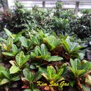 사슴방목장 이미지