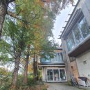 장담공인중개사사무소 이미지