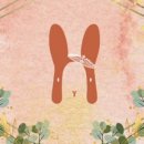 하비하우스 이미지