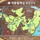 연기면_원수산MTB공원 이미지