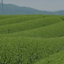 모암마을 이미지