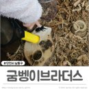 서창사슴농장 이미지