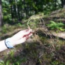 약초농원민박 이미지