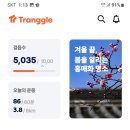 신정시장 이미지