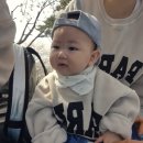 개화주유소 | 구례 지리산치즈랜드 돌전 아기와 2번 가본 후기 | 수선화