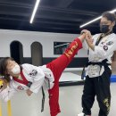 석사하나태권도 이미지