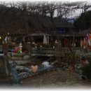 민들레울 이미지