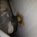 삼성늘푸른정형외과의원 이미지