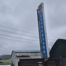 경기도 안산 한국야생동물보호협회 유기견 유기묘 봉사 후기