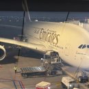 (주)모리셔스 | [신혼여행] 아랍에미레이트항공 두바이-모리셔스 이코노미 왕복 후기