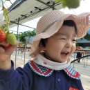 둥이농장 이미지