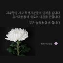 뺑덕 산더미오리 - 청주시 서원구 | 뺑덕 산더미오리