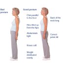 새롬동_새롬빌딩 | 세종 새롬동 시니어필라테스 운동 워크숍 후기