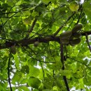 상북면행정복지센터 이미지