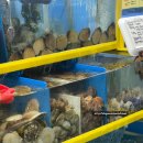 복조리샤브샤브 이미지