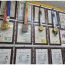 용인대가온태권도 이미지