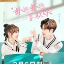 라정혼수 네이버블로그