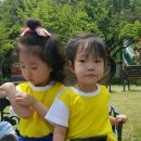 서곶그린공원 Daum카페