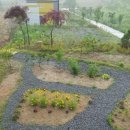 팬션 패트로누스 이미지