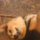 제주도게스트하우스 유로민박 이미지