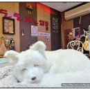 도토리노래연습장 이미지