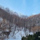 1273 | 오지산행후기(1273차) 강원 북부 설산산행 2025.02.16(일)