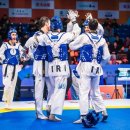 월드컵태권도 이미지