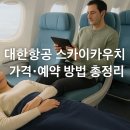 스카이카센타 | 대한항공 스카이카우치 가격·예약 방법 총정리